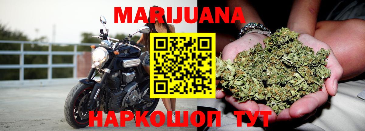Канабис конопля Узловая